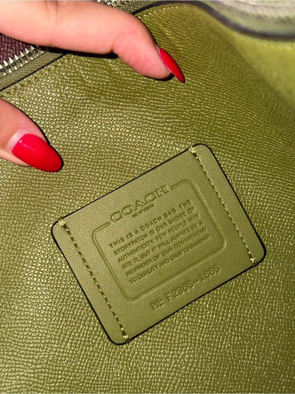 COACH Large Mollie Tote in Signature Black & Grey Sig Canvas - Picture 4 of 4